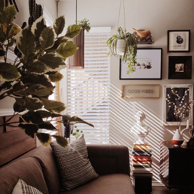 Salon chaleureux avec diffuseur